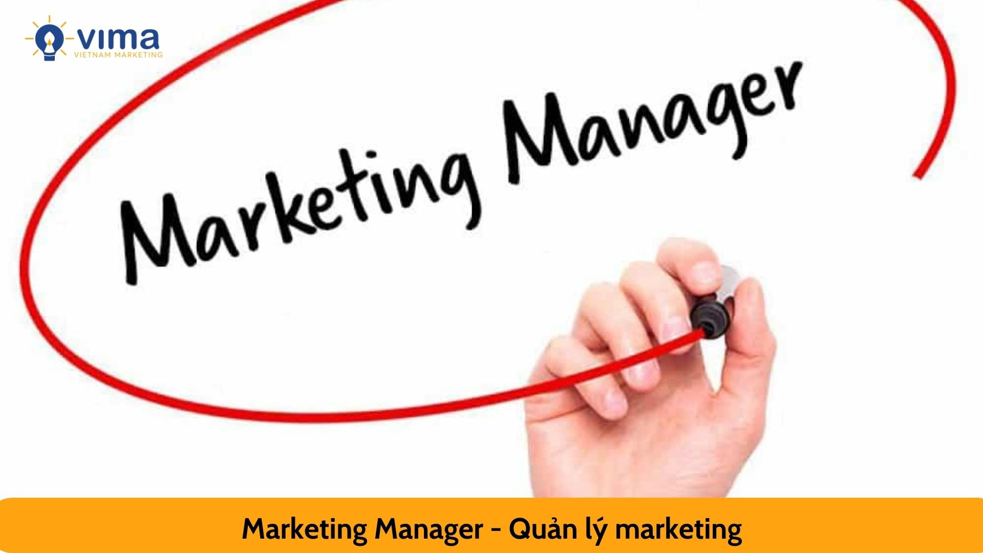 Marketing Manager - Quản lý marketing